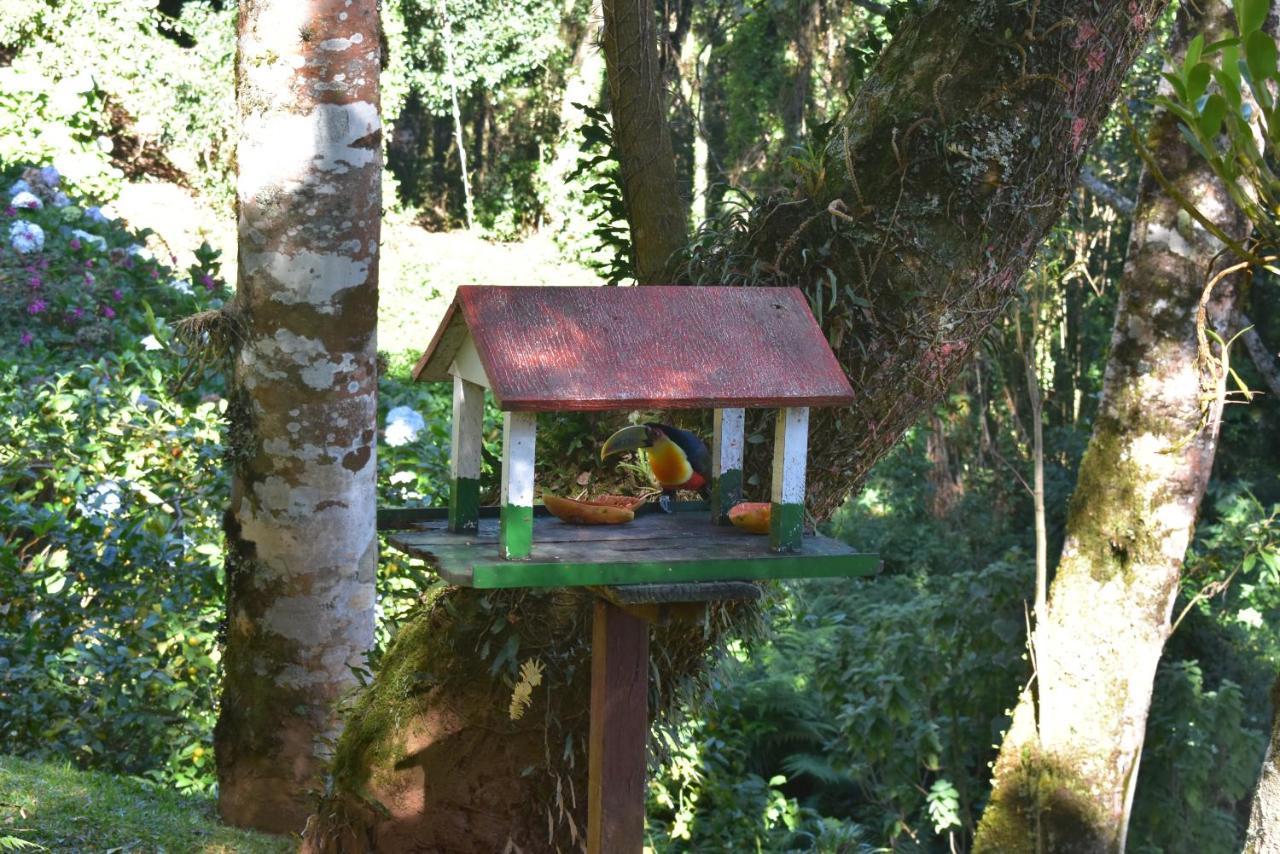 Pousada Amanita Monte Verde Monte Verde  Εξωτερικό φωτογραφία